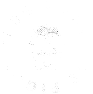 The Tactics Fight Club logo: a skull inside the words Tactics Fight Club