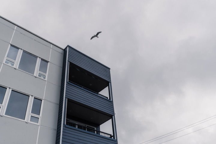 A seagull flying over a gray apartment building