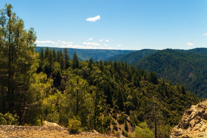 Pine-covered ridges falling away into a canyon in the Sierra Nevada