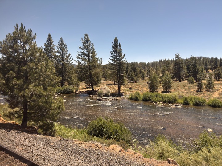 The Truckee River running past pines under a clear sky