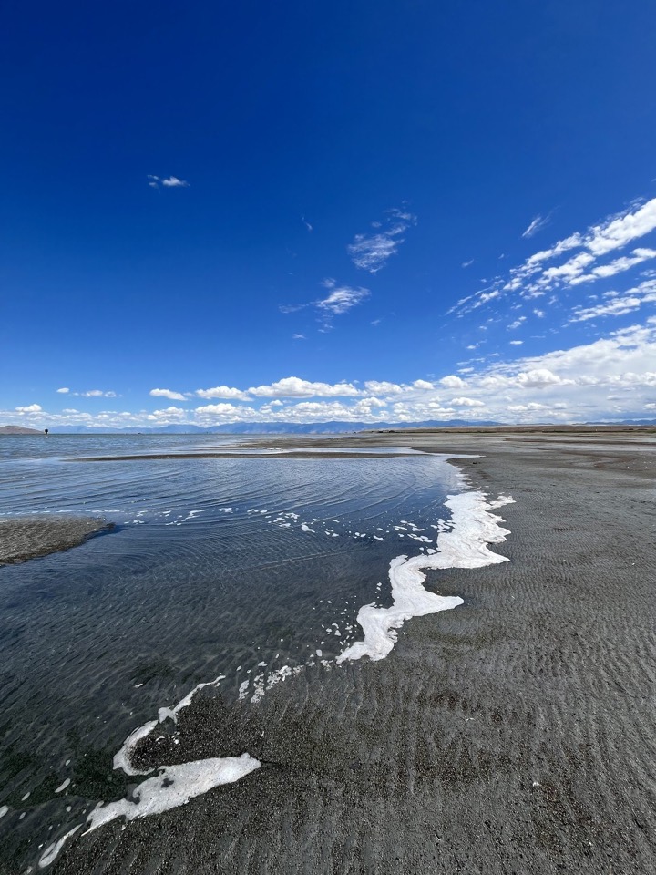 Ribbons of white salt along the shore of the Great Salt Lake